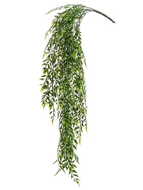 Bamboo mix Hanging Bush