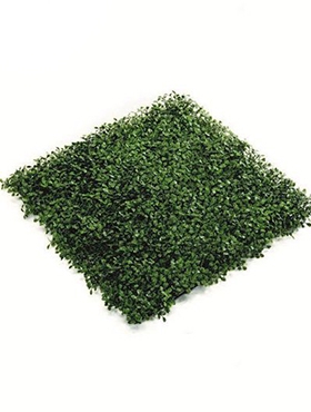 Boxwood Mat