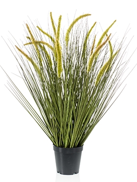 Grass Cattail Bush (15 fl.)