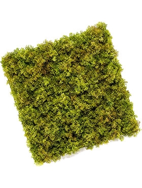 Iceland Moss Mat 0