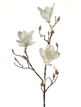 Magnolia Tak Cream