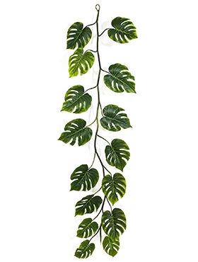 Monstera deliciosa Garland