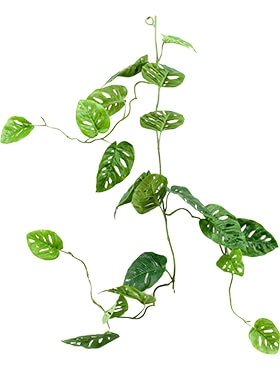 Monstera Garland