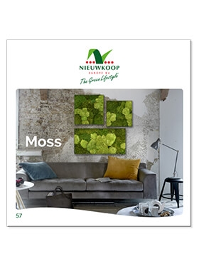 Mos Brochure -