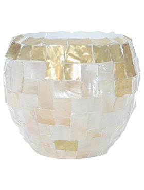 Oceana Pearl Copper Couple White Yellow