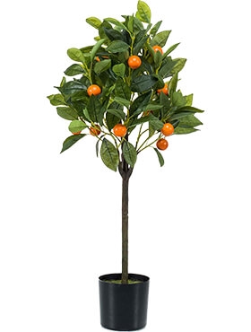 Orange tree Vertakt