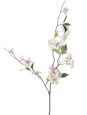 Peach blossom Tak Cream| Light Pink