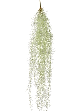 Tillandsia hair Hanging Bush Grey